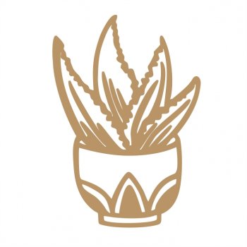 Cactos 02
