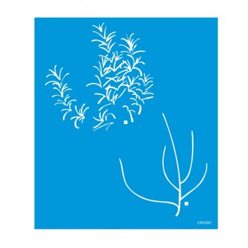 Stencil CR Laser Planta Alecrim - 26x30