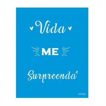 Stencil CR Laser Vida Me Surpreenda - 20x25