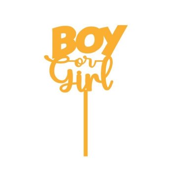 Topper de Bolo em Acrílico  Boy or Girl (M-G)
